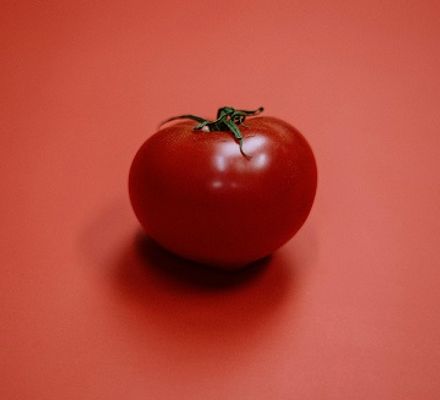Tomato Image 2